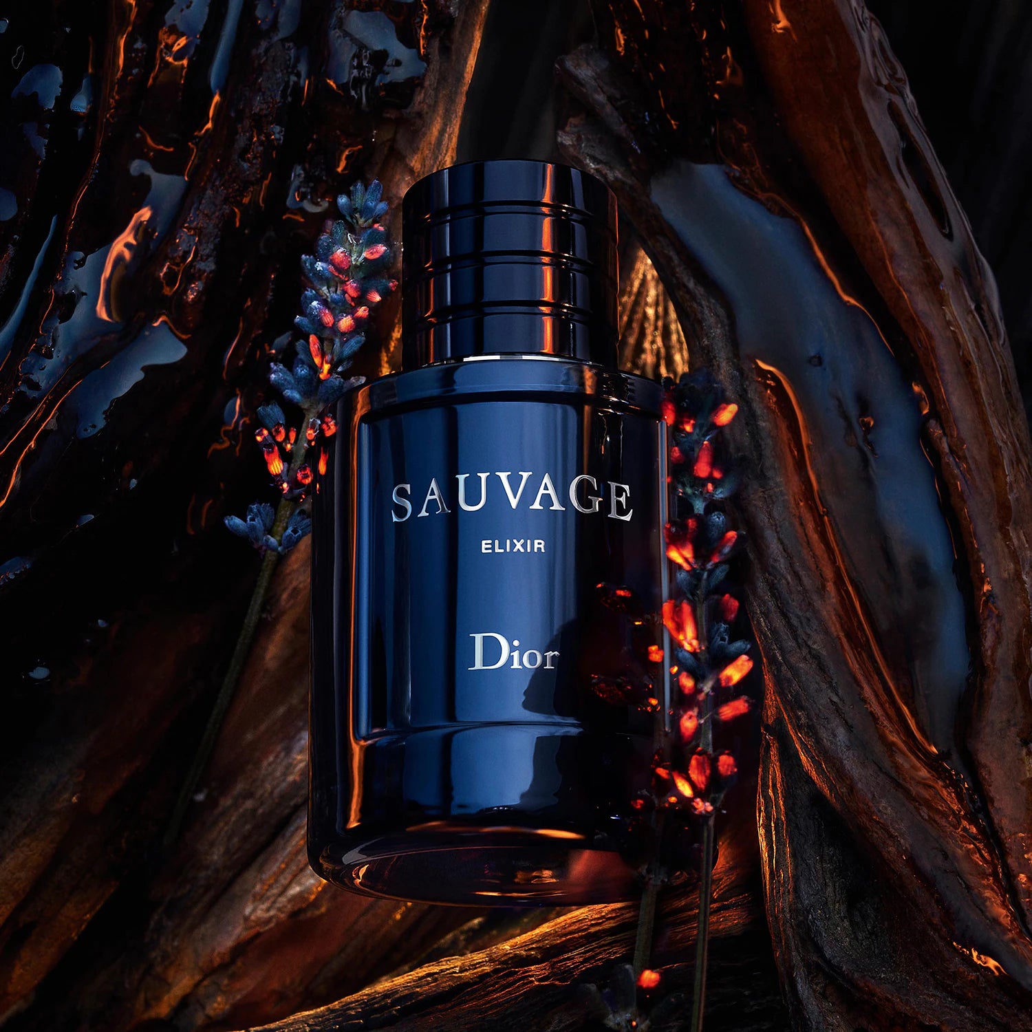 Dior Sauvage Elixir 100 ml - Parfum Concentré Extrême Homme