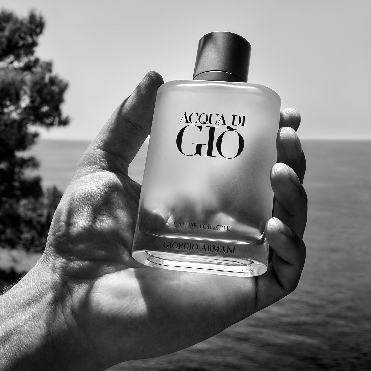 Armani Acqua di Giò 100 ml - Eau de Toilette Homme Fraîche et Aquatique